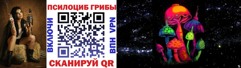 закладка  Горнозаводск  Галлюциногенные грибы Cubensis 
